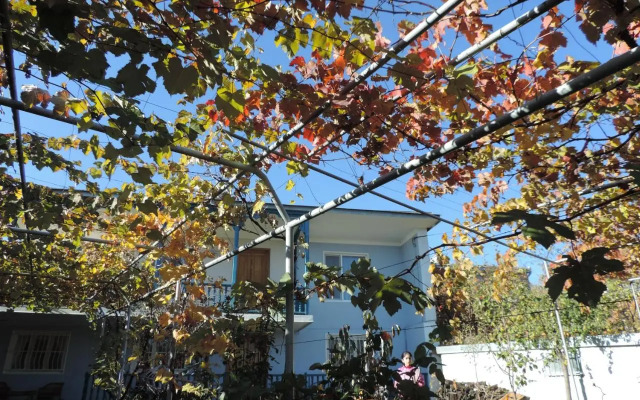 Tetriani Guesthouse