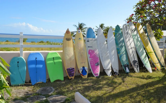 Tropical Gecko Studio