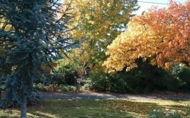 Huonville Guesthouse