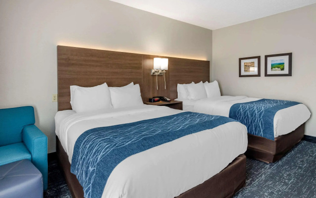 Comfort Inn & Suites Troutville - Roanoke North / Daleville