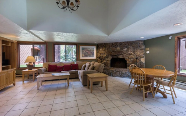 Wild Irishman #1029 by Summit County Mountain Retreats