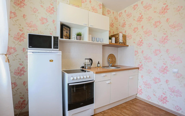 Apartments at Petrovna's on Moskovskoe highway