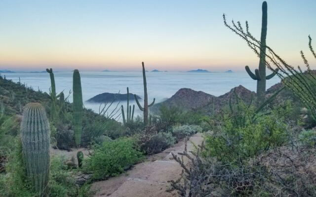 Tucson Natural 5BR by Casago