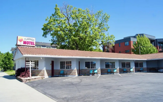 Flamingo Motel