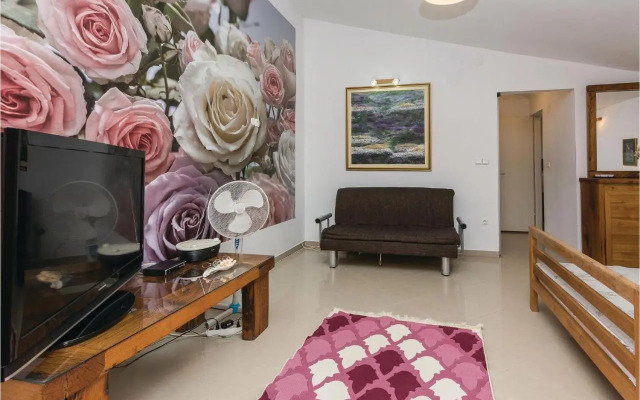 One-Bedroom Apartment in Vir