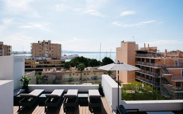 Terreno Suites