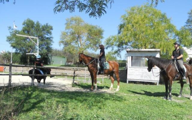 Cavallo Di Fiori - Agriscuderia