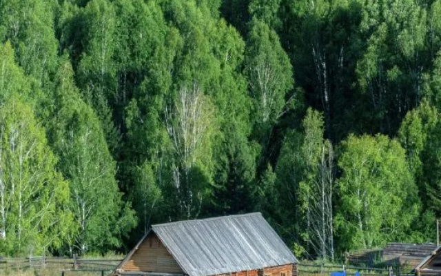 Fenghua Zhenxue Log Cabin - Fusion Aesthetics Restaurant Resort (Kanas Scenic Area Branch) – Outside – Altay