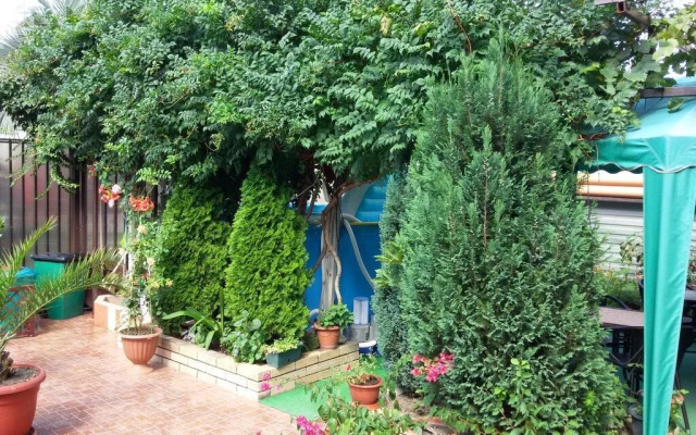 Lazurniy Guest House