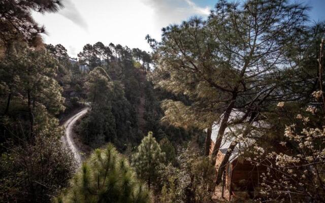 Suro Treehouse Resort