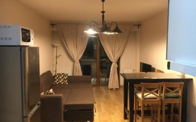 Apartments in New Gudauri 2