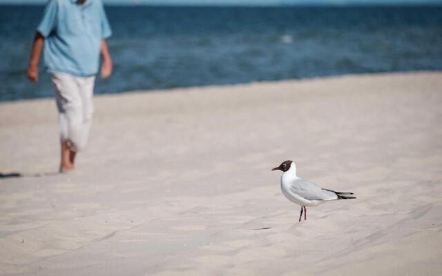 Bernstein-Fewos ca 15 Gehminuten zum Ostseestrand