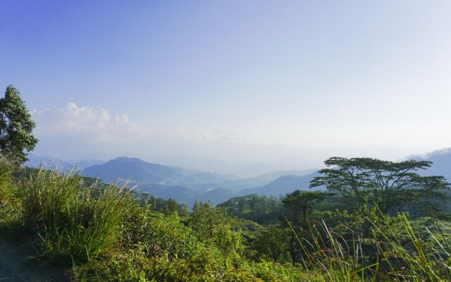 Wild Glamping Knuckles