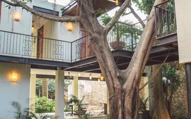 TreeHouse Boutique Hotel - Adults Only