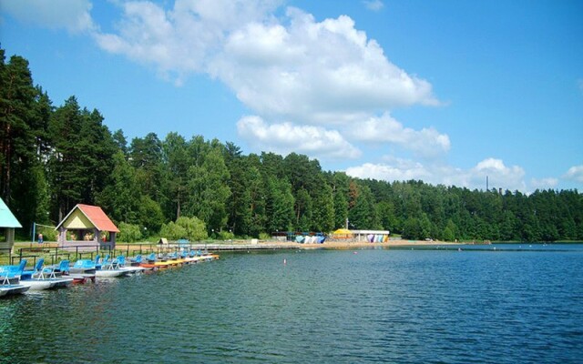 Lepelskiy Sanatorium