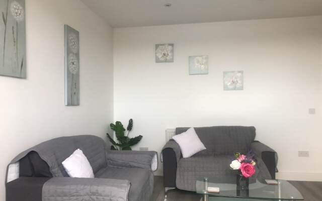 Luxury City Apartment