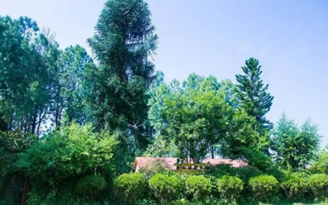 Bandipur Mountain Resort