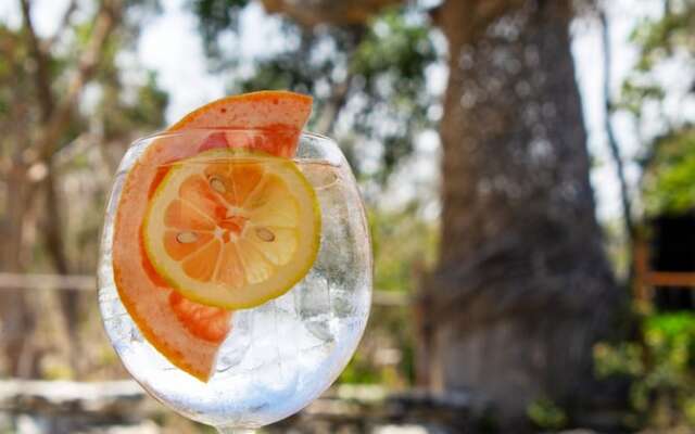 BH HOTEL & CENOTE TULUM - Adults Only