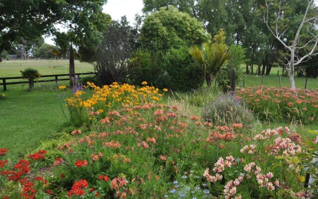 Jacaranda Lodge