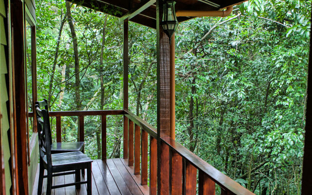 Jaguarundi Lodge