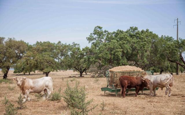 GuestReady - Herdade da Sexta Velha - Alentejo Wine Estate