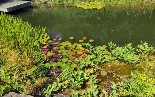 Suite Vorderrhön Anní