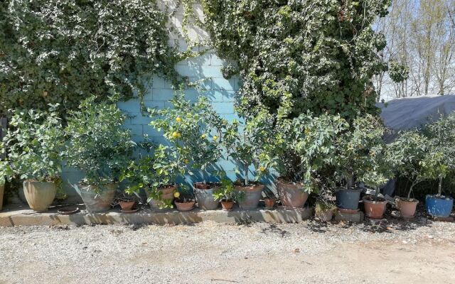 Agriturismo Loghino Sabbioni