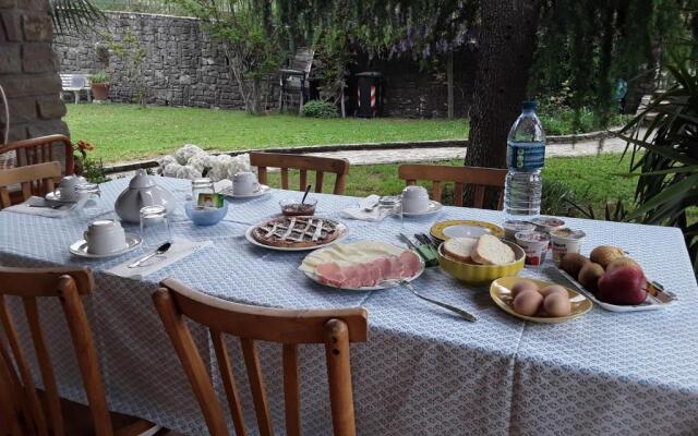 La collina degli olivi