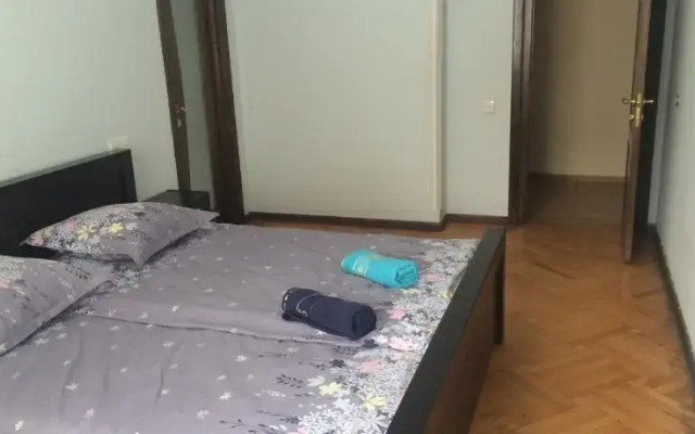 Aleksidze 2