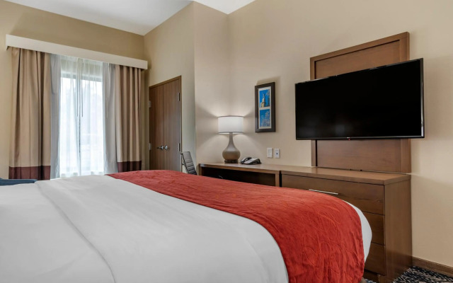 Comfort Inn & Suites Downtown near University