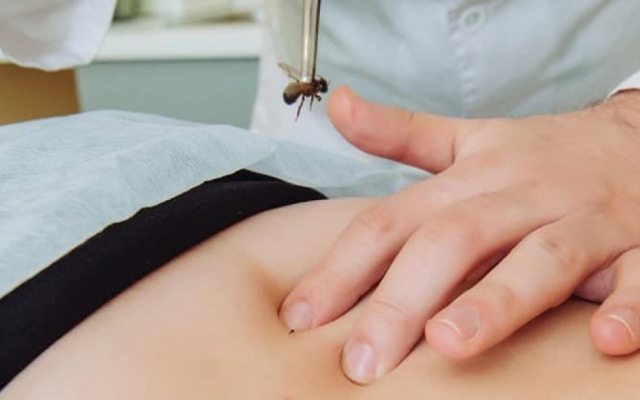 Sanatorium of power engineers