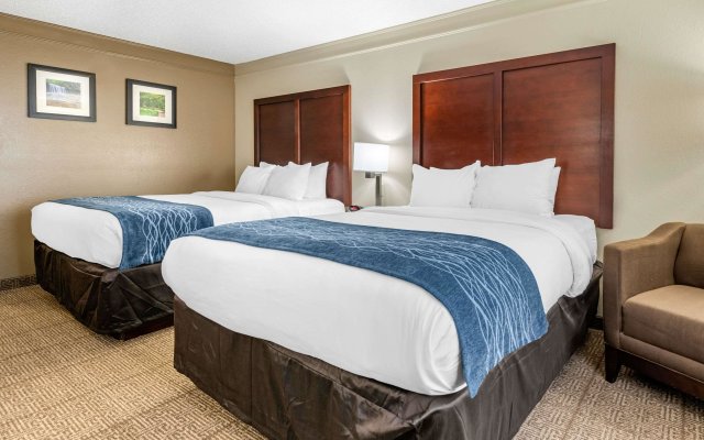 Comfort Inn & Suites Columbus East