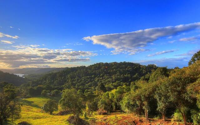 Maleny Tropical Retreat Balinese B&B