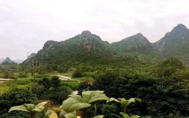 The Moon Flower Hotel