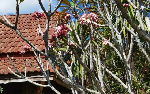 Wangnamkhao Resort