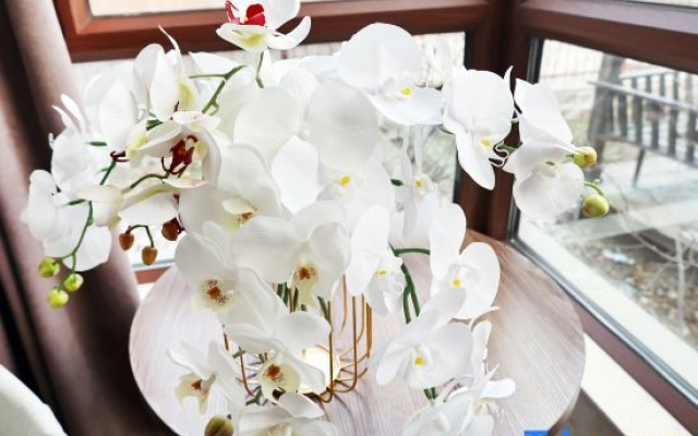 Wuhuashan Bieyuan Hotel