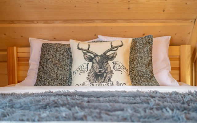 Apartamenty Willa Olsza - wood house & mountain view