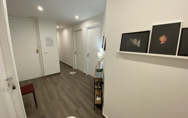Ma&Mi Light Rooms
