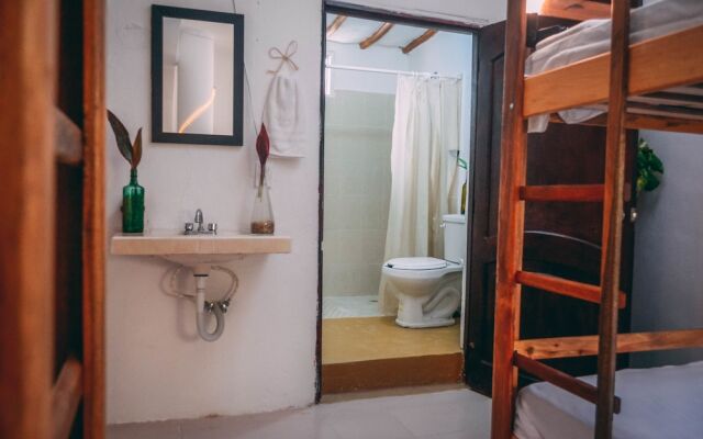 Malinche Hostel and Apartments