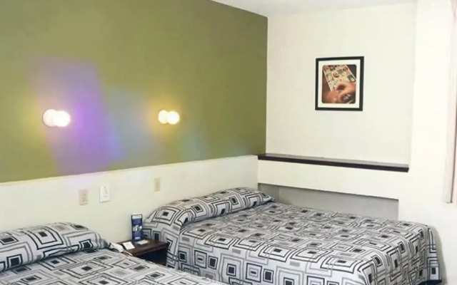 Hotel Terranova Zona Piel