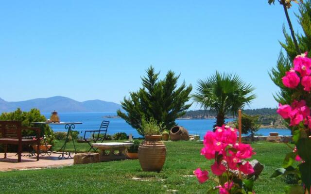 Apopsis Zoy's Guest House