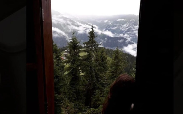 Pokut Orion