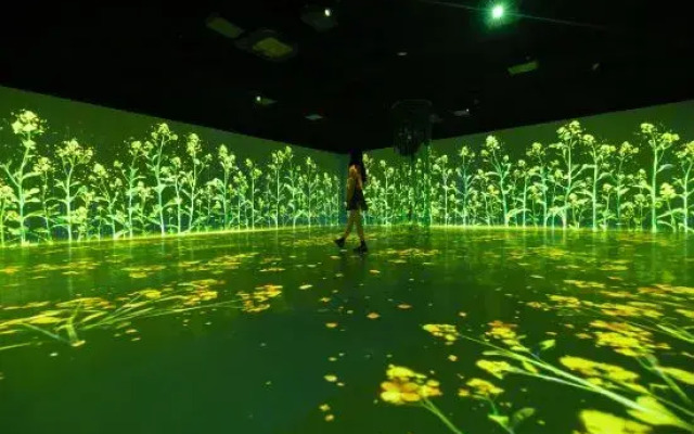 Wuyuan Wunvzhou Holiday park Hotel