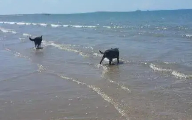 A Country View Motel - Ilbilbie