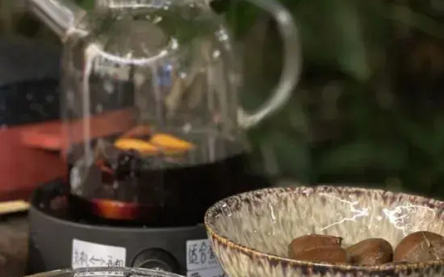 cat's garden home stay