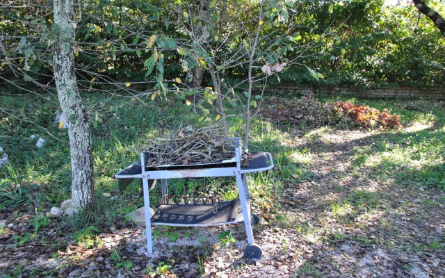 Romeo and Juliet in the Enchanted Forest