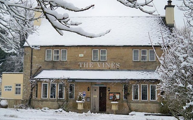 The Vines
