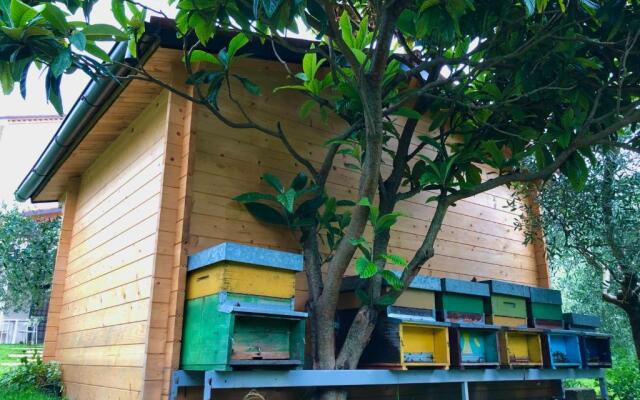 BeeHouse - La Casa delle Api Agriturismo