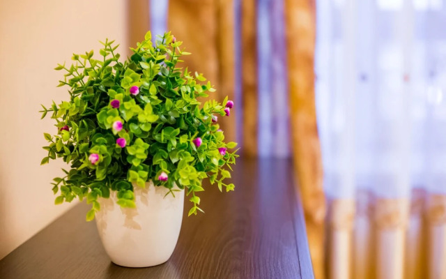 Three separate bedrooms on Square Rynok