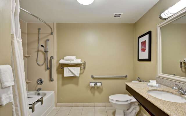 Hilton Garden Inn Tampa Northwest/Oldsmar